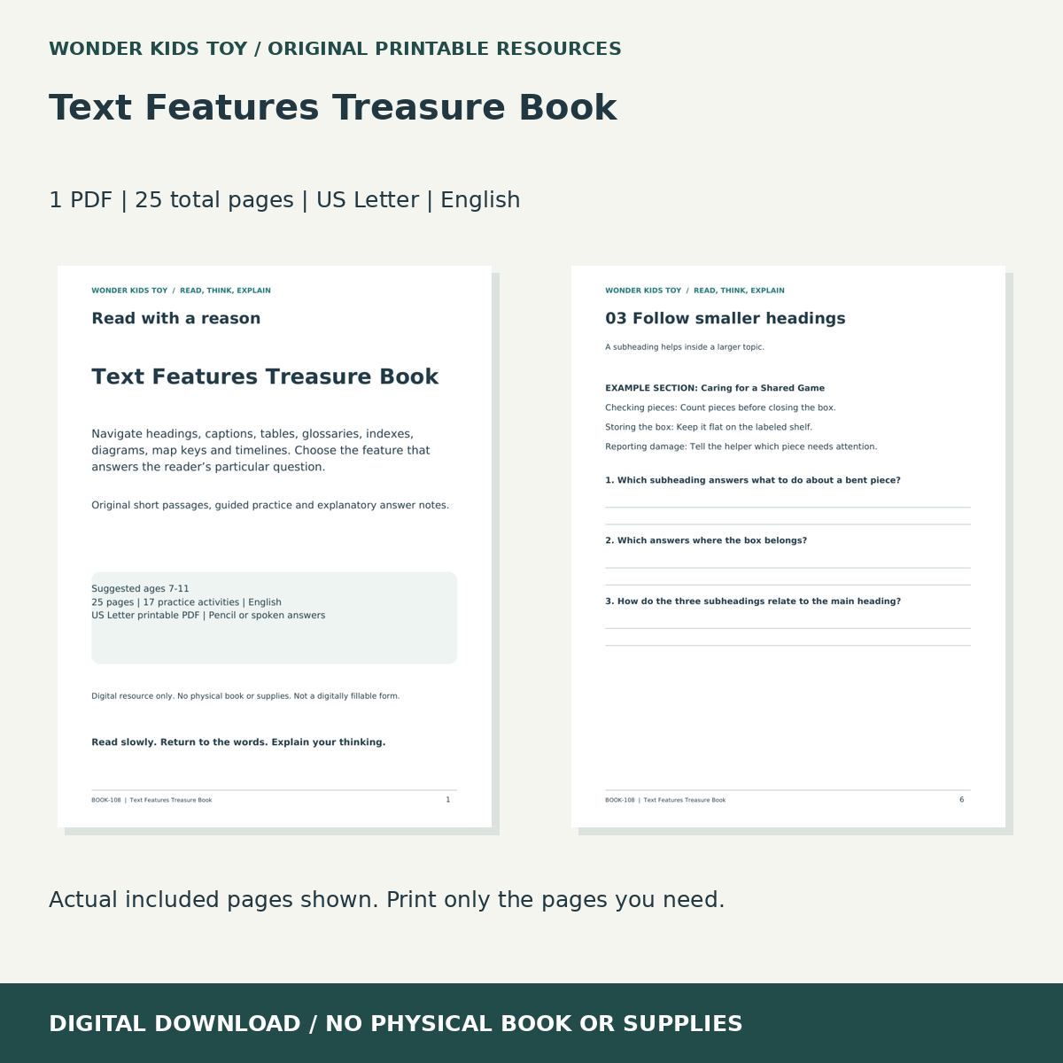 Text Features Treasure Book: actual included PDF previews, 25 total pages, US Letter digital download