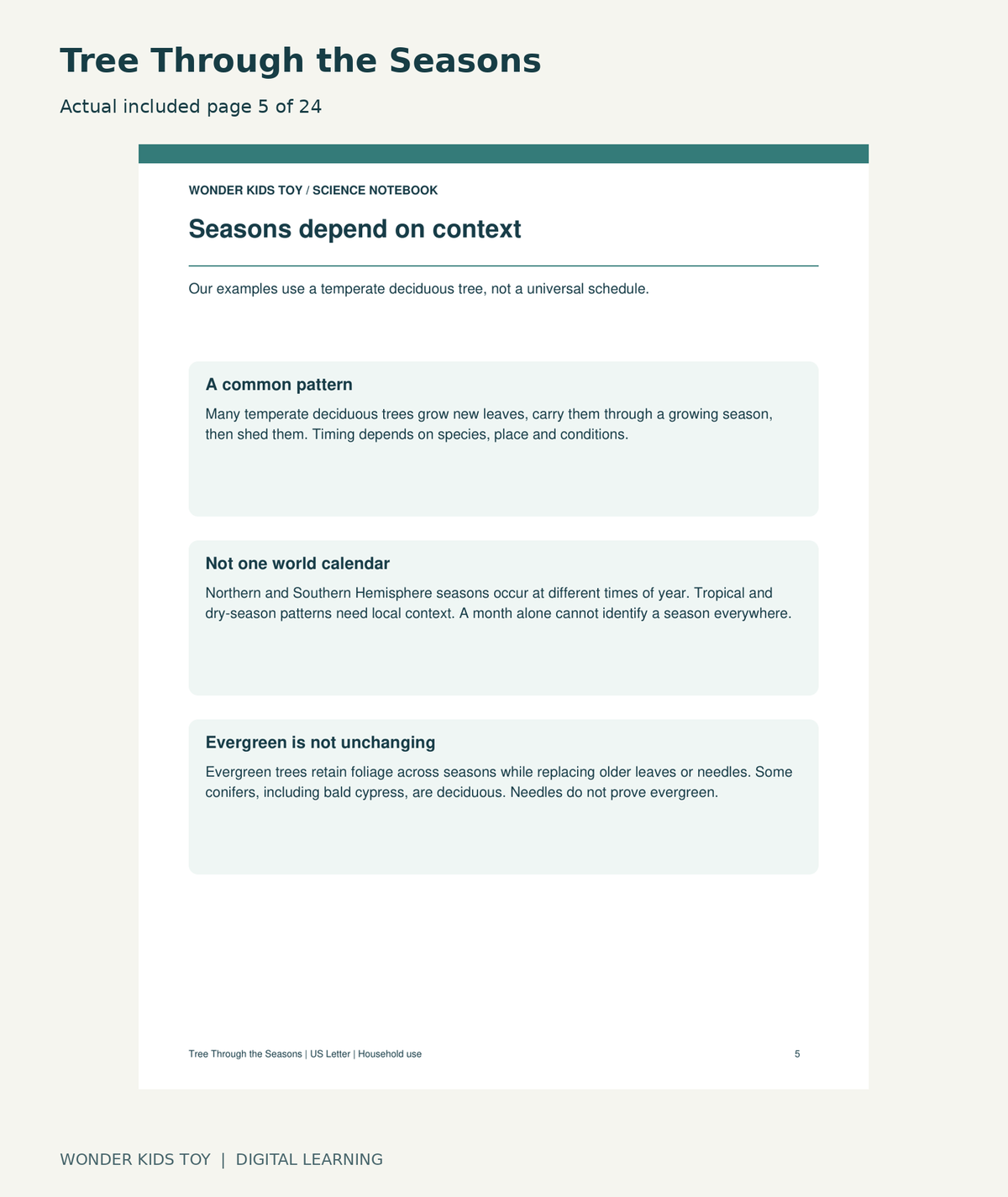 Tree Through the Seasons: actual included PDF page 5 of 24