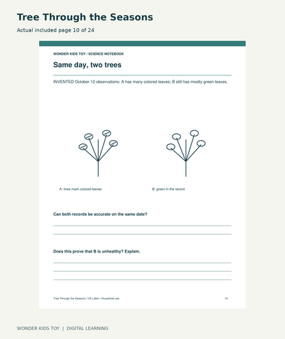 Tree Through the Seasons: actual included PDF page 10 of 24