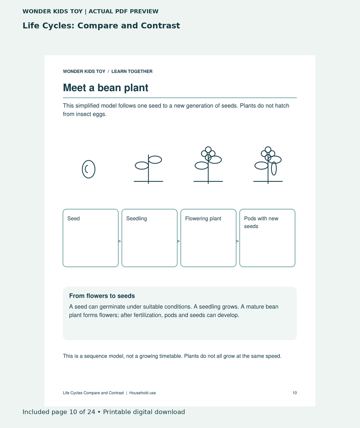 Life Cycles: Compare and Contrast: actual included PDF page 10 of 24, readable interior preview