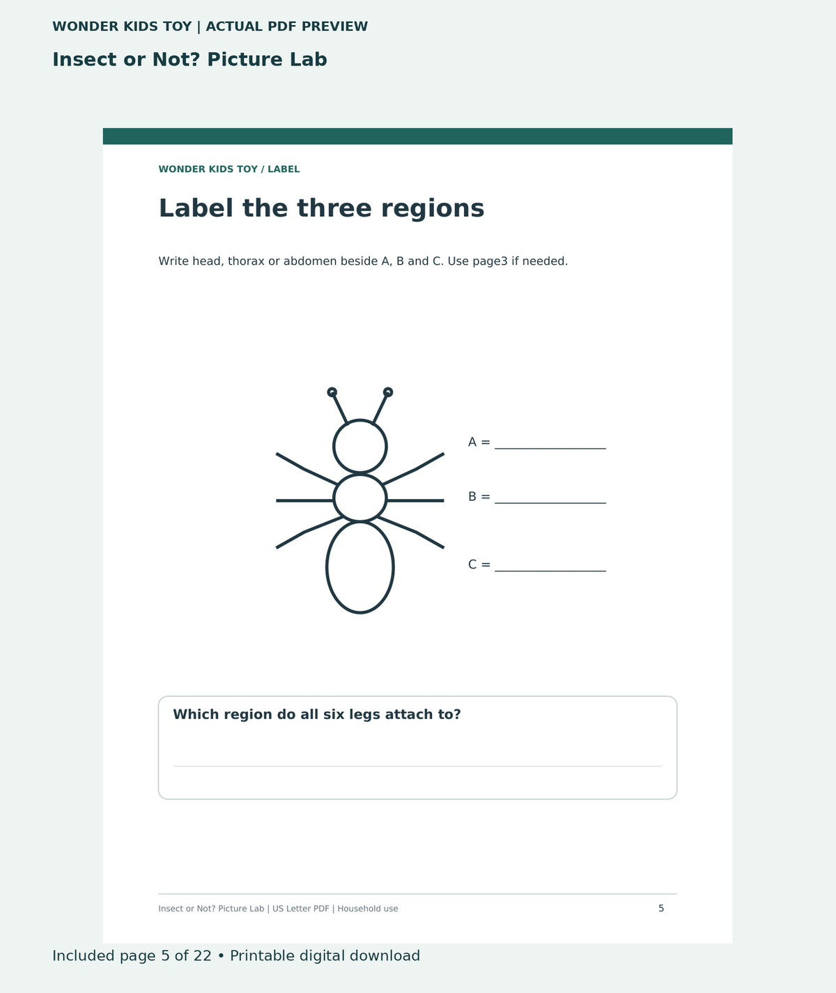 Insect or Not? Picture Lab: actual included PDF page 5 of 22, readable interior preview