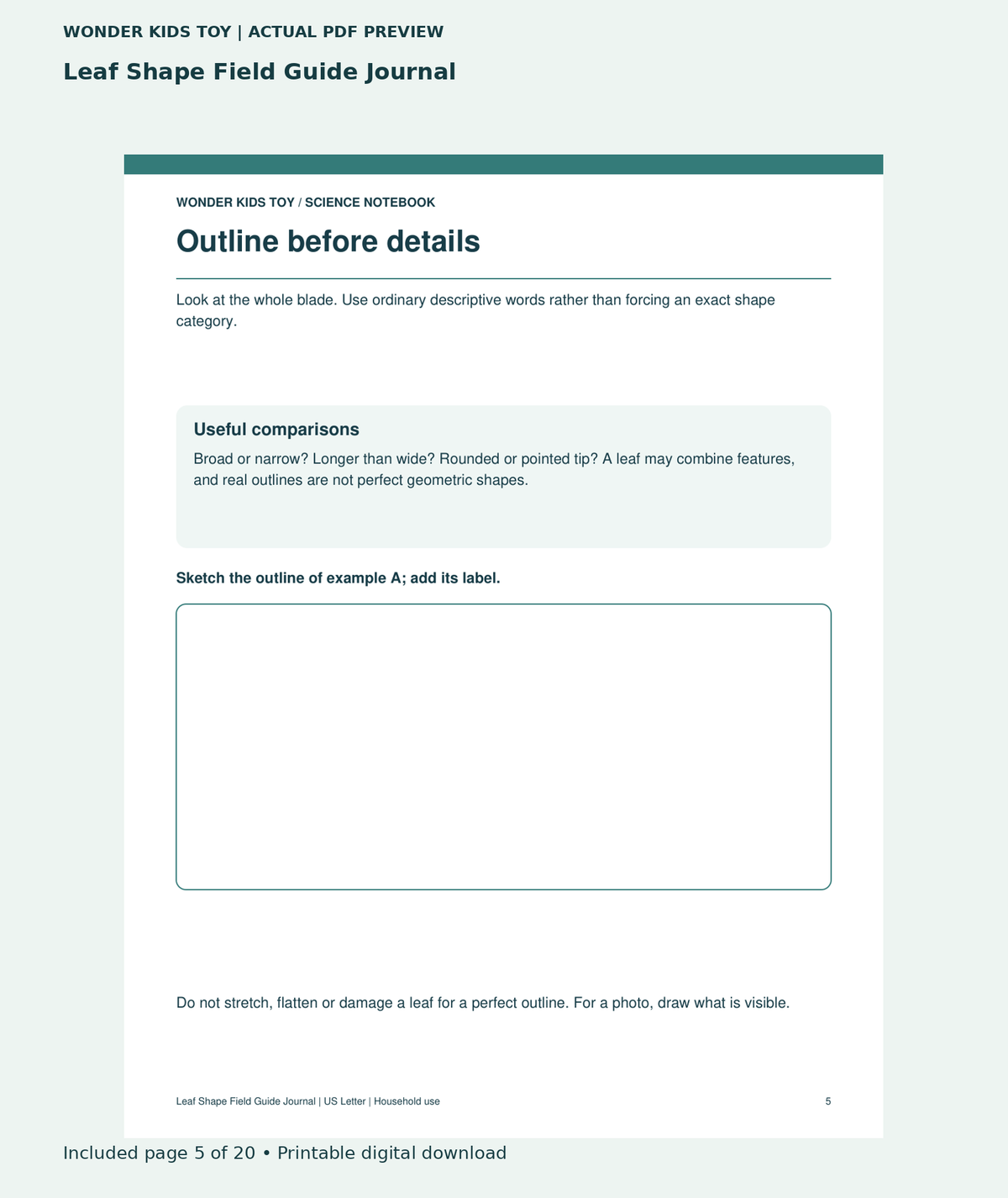 Leaf Shape Field Guide Journal: actual included PDF page 5 of 20, readable interior preview