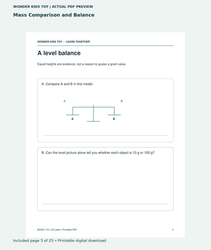 Mass Comparison and Balance: actual included PDF page 5 of 25, readable interior preview